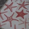 Starfish Placemat Double Sided