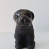 Pug Doggy