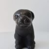 Pug Doggy