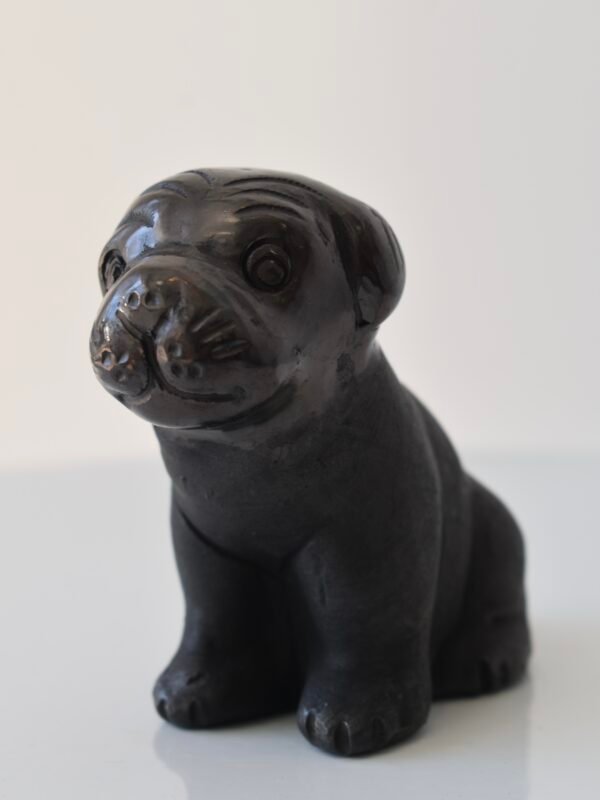 Pug Doggy