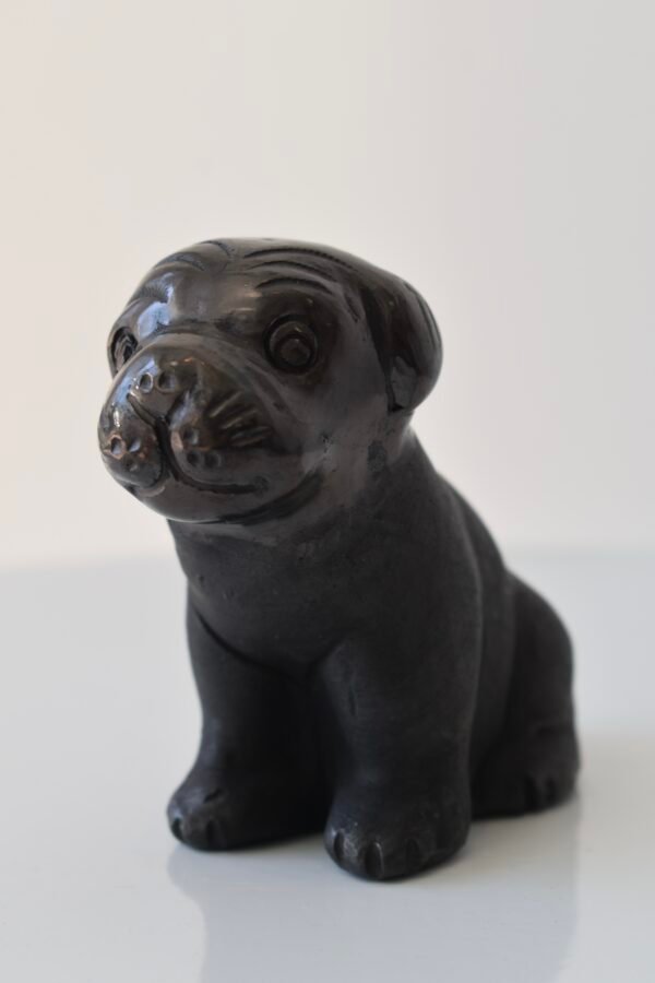 Pug Doggy