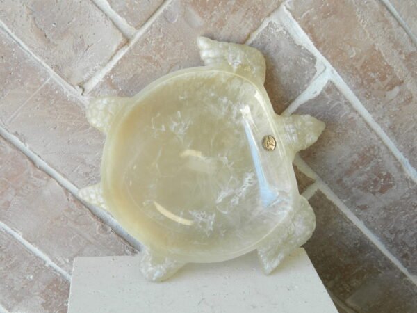 DSCN4592 Turtle Tray