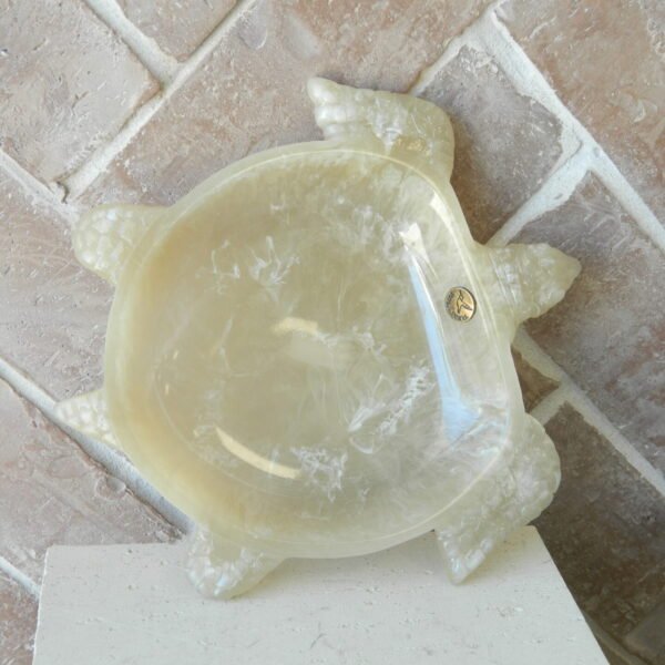 Turtle Tray
